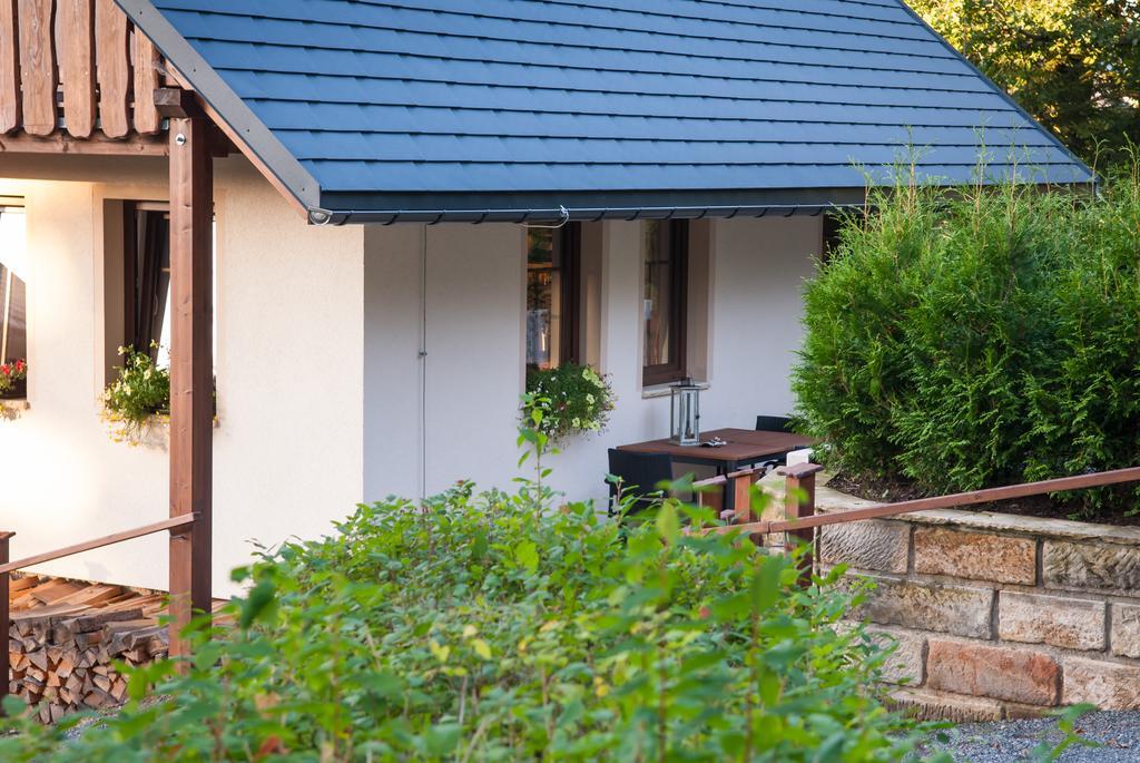 Haus Waldfrieden Διαμέρισμα Altenberg  Εξωτερικό φωτογραφία