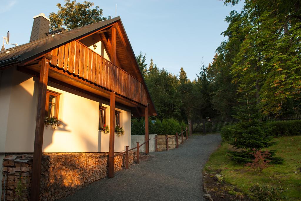 Haus Waldfrieden Διαμέρισμα Altenberg  Εξωτερικό φωτογραφία