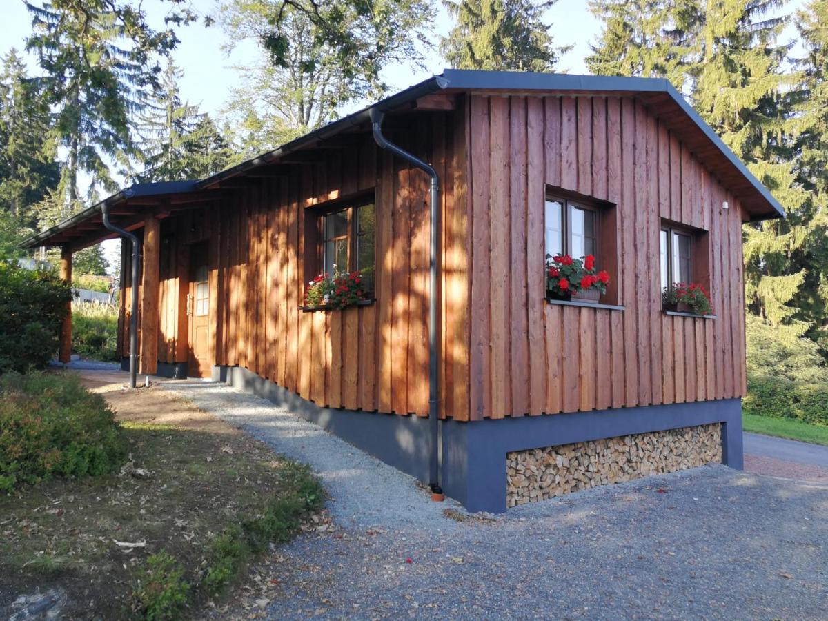 Haus Waldfrieden Διαμέρισμα Altenberg  Εξωτερικό φωτογραφία