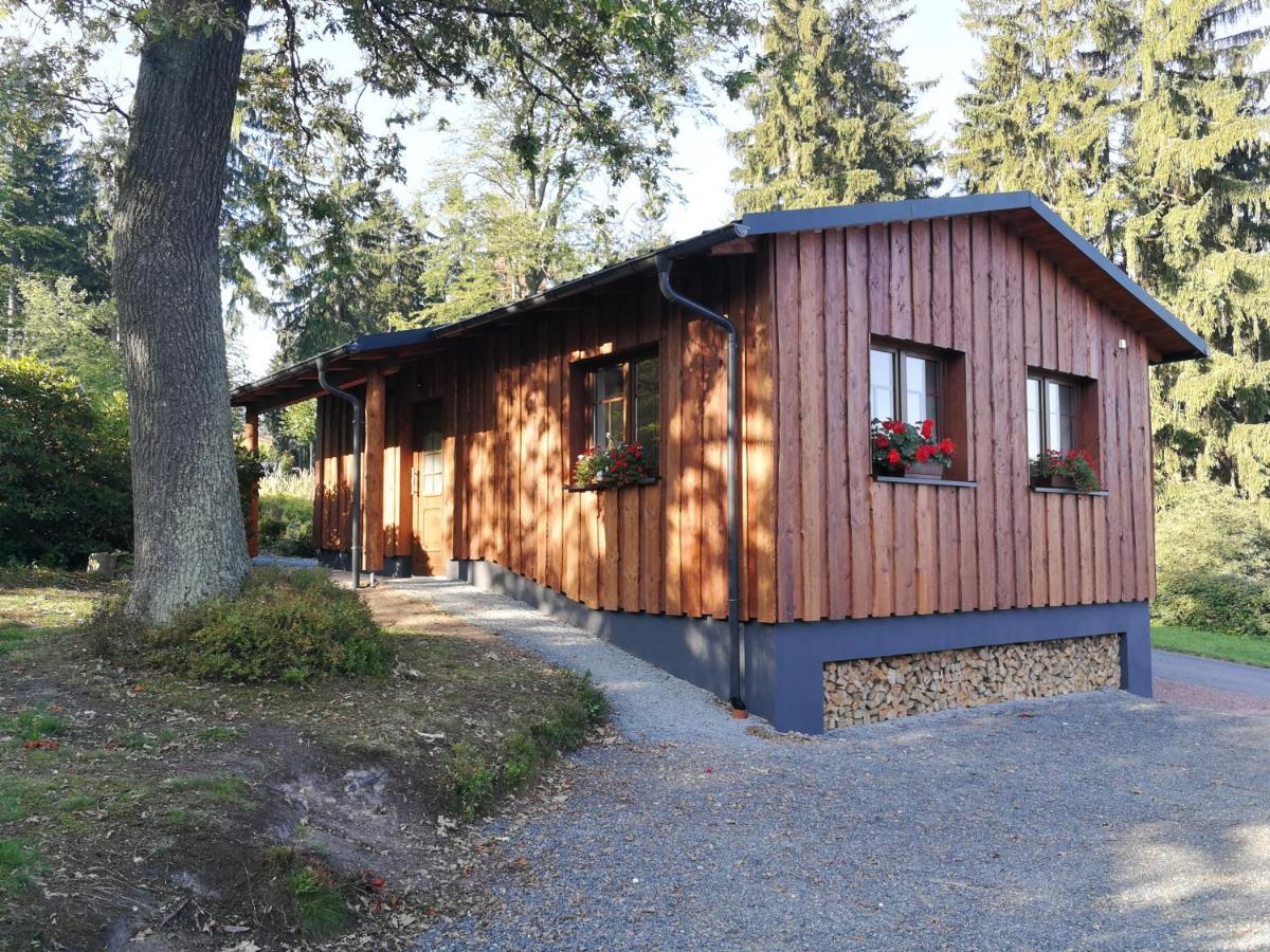 Haus Waldfrieden Διαμέρισμα Altenberg  Εξωτερικό φωτογραφία
