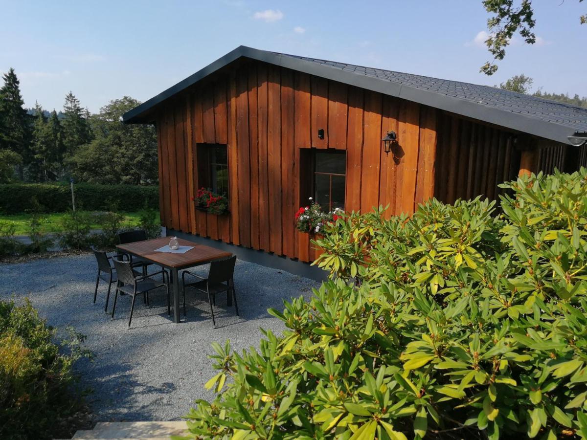 Haus Waldfrieden Διαμέρισμα Altenberg  Εξωτερικό φωτογραφία